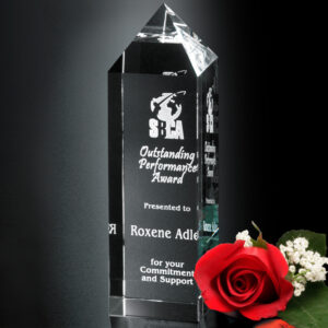 Buckingham Award, Optic