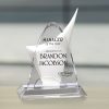 Discovery Award - Image 3