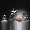 Guardian Award, Optic - Image 2