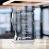 Malibu Award - Image 3